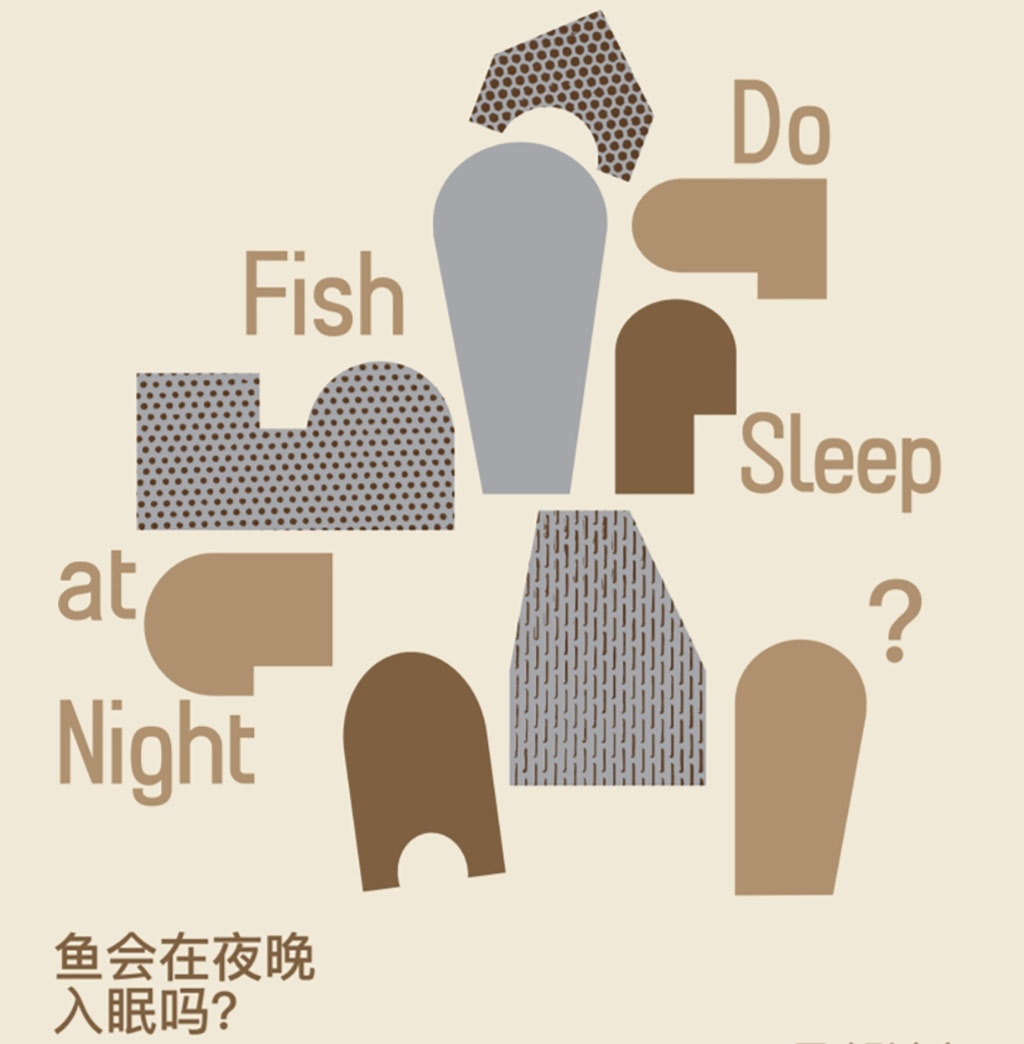 Do fish sleep at night